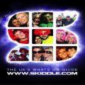 Write and Contribute to Skiddle.com